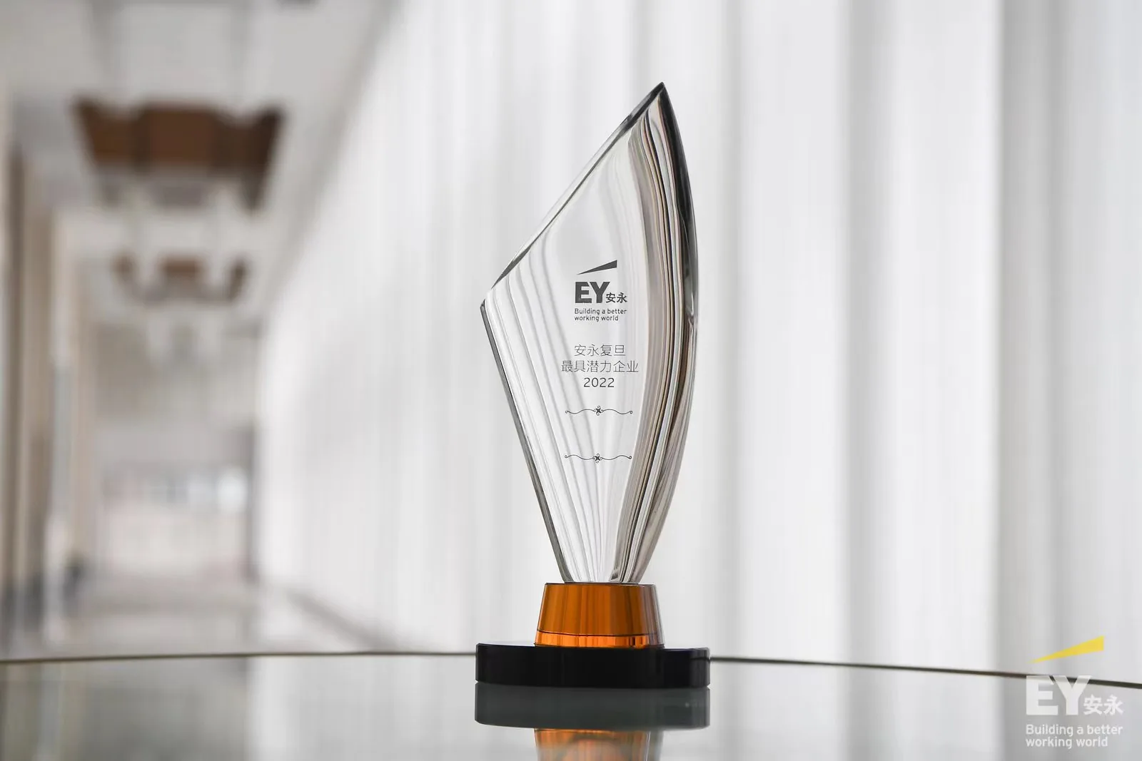 a1 received the Ernst & Young Fudan 